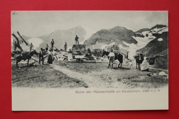 AK Wiesbachhorn / 1900 / Ruine der Mainzerhütte / Muli / Salzburg